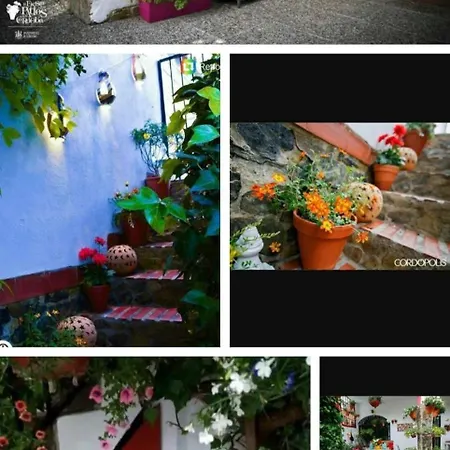 Casa De Sentidos Guest house